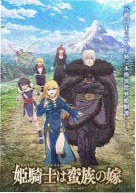 多版本画质与字幕对比